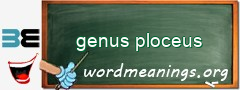 WordMeaning blackboard for genus ploceus